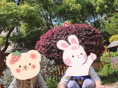 -蒙蒙狮蒙台梭利儿童之家