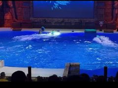 -哈尔滨波塞冬海底世界