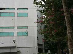 android_upload_pic-厦门歌舞剧院