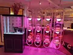 -巴特餐饮6加1音乐餐吧·新疆菜