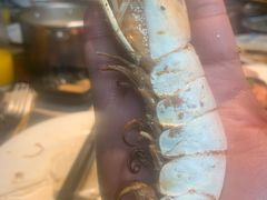 -星伦多 自助料理(圆融店)