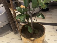 -必胜客餐厅(昆百大泰业城店)