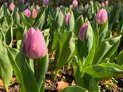 -上海四季花港-停车场