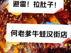 -何师傅美蛙鱼头(汉街店)