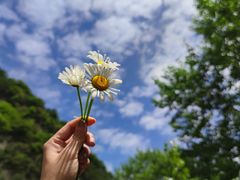 -青峰峡国家森林公园