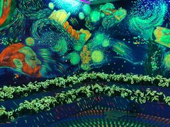 -天津梵高星空艺术馆(天河城旗舰店)