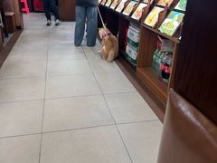 -何氏排骨(左家塘店)