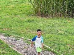 -扬子江公园