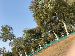 -艾溪湖湿地公园