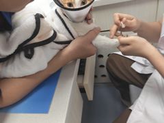 -博特宠物医院24h犬猫全科.骨科·异宠