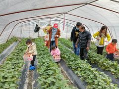 -小鱼草莓采摘园农家乐·小鱼餐厅