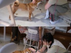 -Metal hands·铁手咖啡