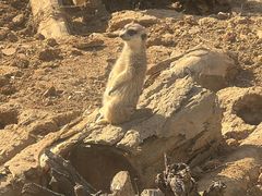 -无锡动物园·太湖欢乐园
