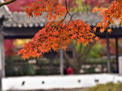 -无锡惠山寺