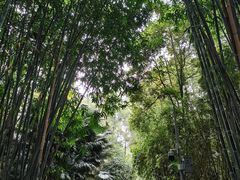 -成都杜甫草堂博物馆