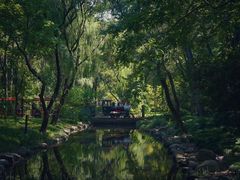 -上海共青森林公园