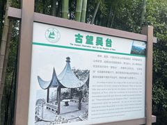 -莫干山风景区