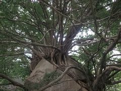 -草庵摩尼教遗址公园