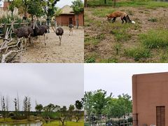 -祥源·阜阳生态乐园