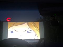 -枫花园汽车电影院(朝阳公园店)