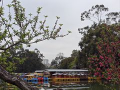 -西湖公园(鼓楼区)