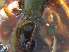-DaLongYi Hotpot - 大龙燚火锅 - 地道四川老火锅