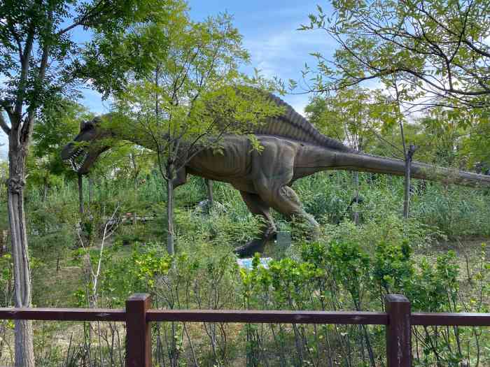 光合谷旅游度假区-"总体来说一般,除了恐龙园之外,进到哪里都.