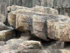 -武汉动物园