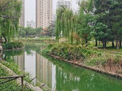 -渭滨公园