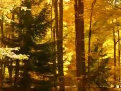 -回龙观体育文化公园