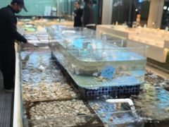 -天盛海鲜烧烤大排档·本地小海鲜·牟平腿穗子(幸福店)