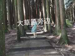 -武陵山森林公园