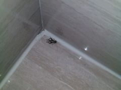 -西安长征华美达酒店