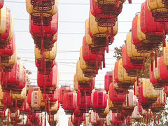 -刘家湾赶海园