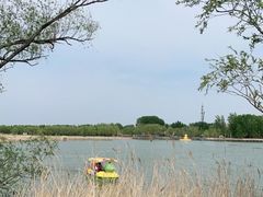 -野鸭湖国家湿地公园