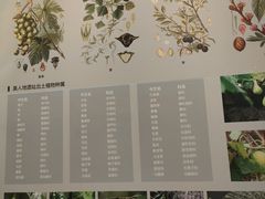 -良渚博物院