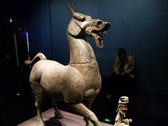 -广西壮族自治区博物馆