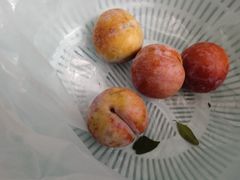 -三元里农贸市场