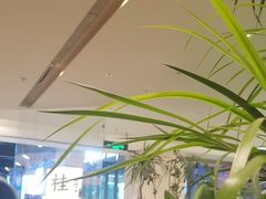 -桂满陇·蟹黄小笼汤包(巴黎春天浦建店)