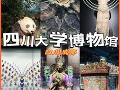 -四川大学博物馆