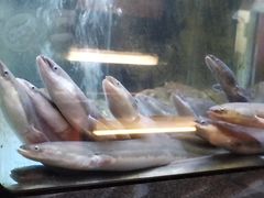 -九洲喜来登酒店湖月日餐厅