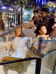 -酷嗒动物文化乐园(cutezoo西溪乐天城店)