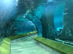 -福州罗源湾海洋世界旅游区