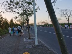 -南汇嘴观海公园