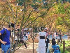 -广州市帽峰山景区