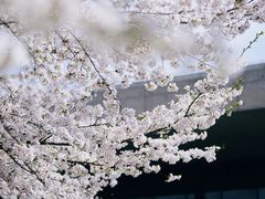 -上海辰山植物园