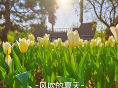 -长春公园(普阳街道)