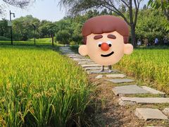 -北坞公园