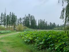 -百翠山居.家飨餐厅