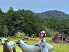 -海南热带雨林国家公园吊罗山景区